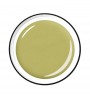Colour Gel 5 ml - Kiwi green