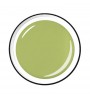 Colour Gel 5 ml - Fanappleistic