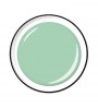 Colour Gel 5 ml - I love mint