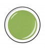 Colour Gel 5 ml - Greenery