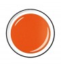 Colour Gel 5 ml - Coral Shine