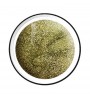 Colour Gel glitter 5 ml - Fancy yellow