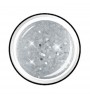 Colour Gel glitter 5 ml - big silver show