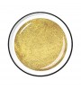 Colour Gel - Light Glitter 5 ml - Light Gold