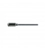 Bullone ruvido, blue line