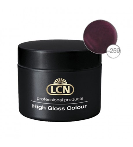 High Gloss Colours 10 ml - summernight violet
