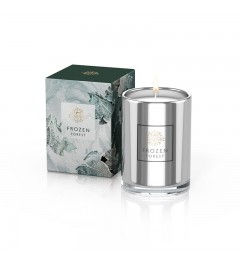 Scented candle frozen forest, big