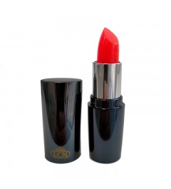 Rossetto 4,5 gr - delicious tango