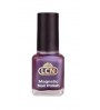 Magnetic Nail Polish - fuchsia attraction