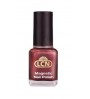 Magnetic Nail Polish - copper seduction