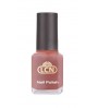 Magnetic Nail Polish - bordeaurxlicious