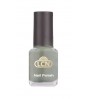Magnetic Nail Polish - delicious olive