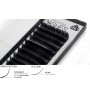 Captivating Lashes - 0,1 mm / C-Curl