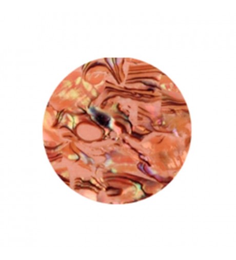 Sea Shell - sand