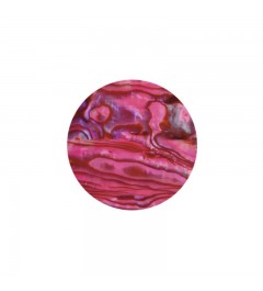 Sea Shell - hot pink