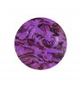 Sea Shell - fuchsia