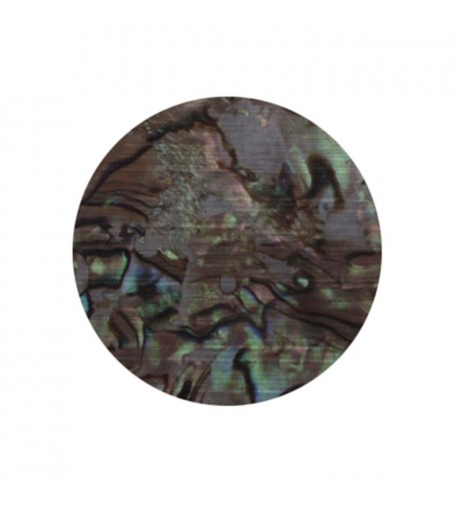 Sea Shell - grey stone