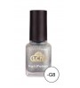 Smalto 8 ml - Silver Stardust