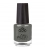 Nail Polish "All Week Long", 16 ml - right back at you
